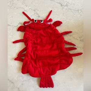 lobster pet costume (little mermaid)